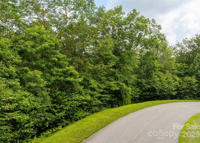 Property at TBD Lot 122 Firethorn Trl #122, Blowing Rock, NC 28605