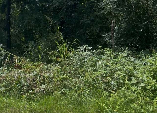 Property at 2732 Cotton Mill St, Connelly Springs, NC 28612