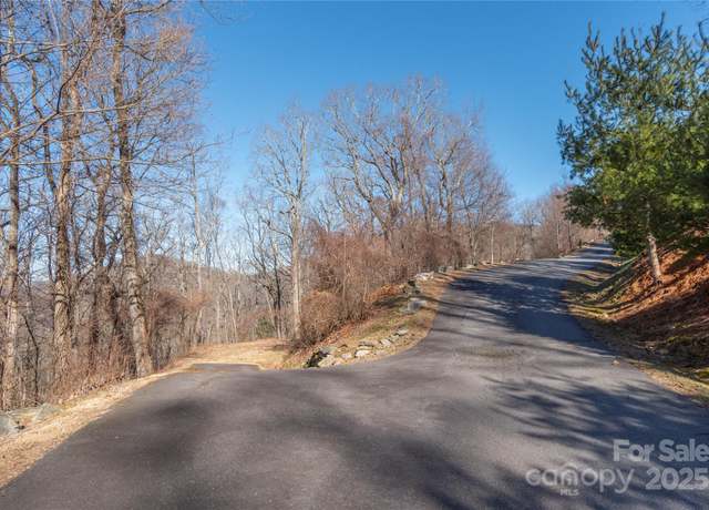 Property at 96 Castanea Mountain Dr, Asheville, NC 28803
