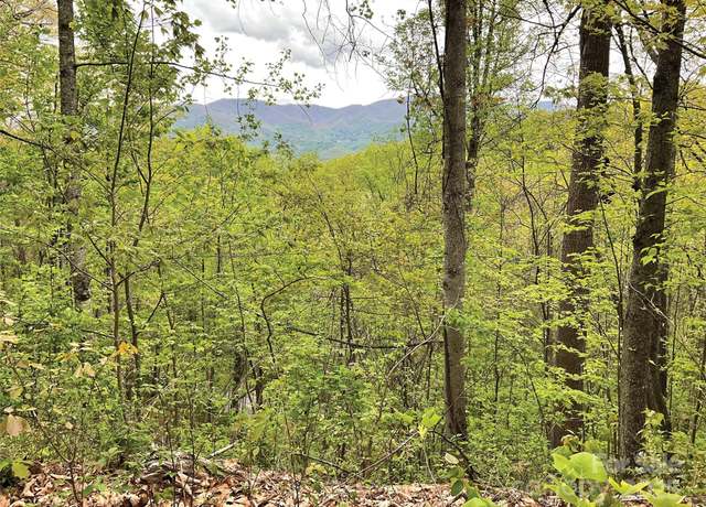 Property at 00 Eagles Nest Rd, Waynesville, NC 28786
