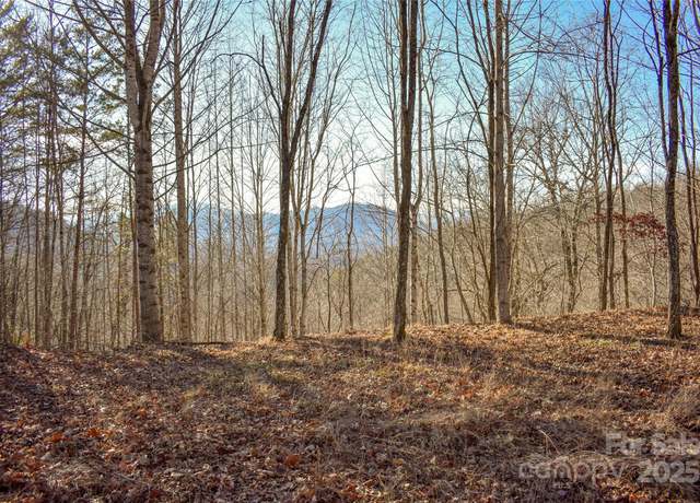 Property at 10 Ridge Pl #10, Bryson City, NC 28713