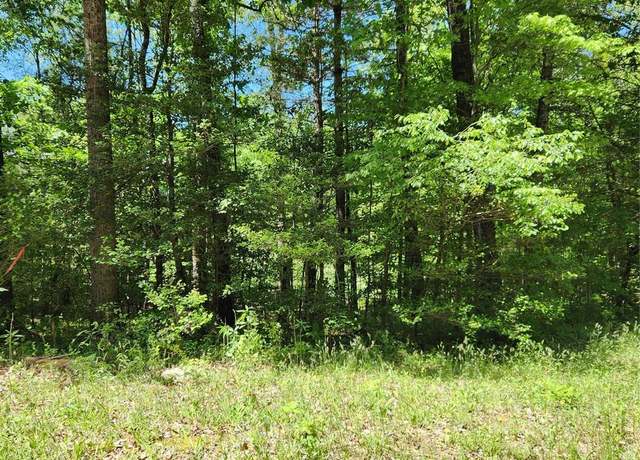 Property at 9 Tadpole Ln, Taylorsville, NC 28681