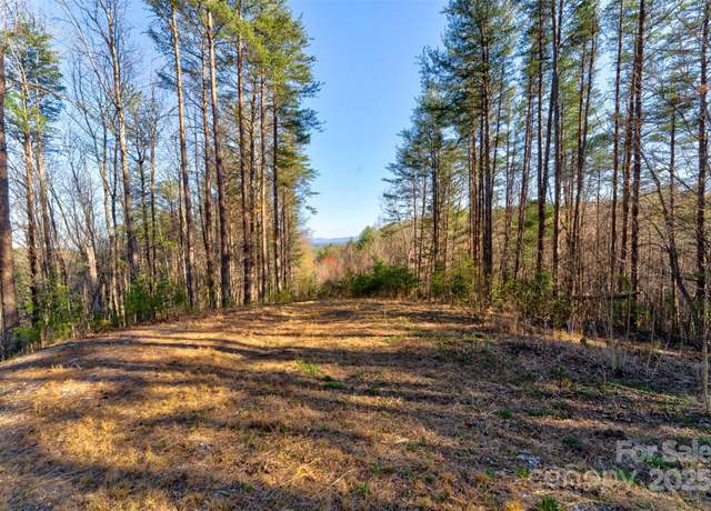 Property at 9144 Yellow Pine Rd, Nebo, NC 28761