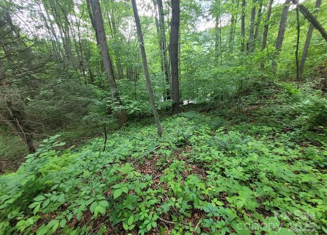Property at 00 Serendipity Ln #111, Waynesville, NC 28785