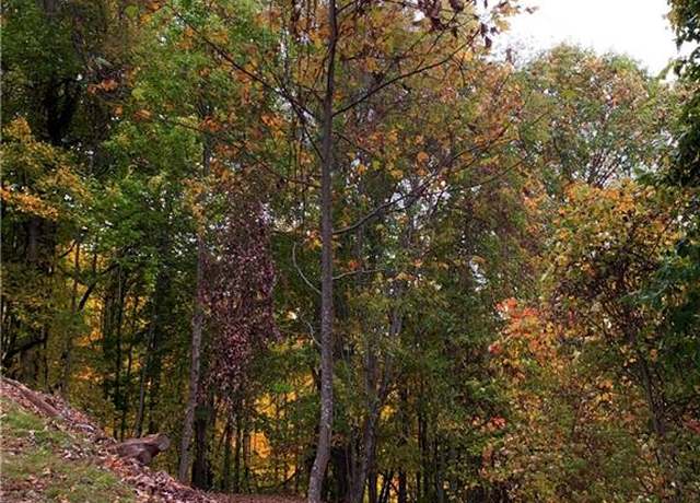 Property at 375 Buck Dr, Hot Springs, NC 28743