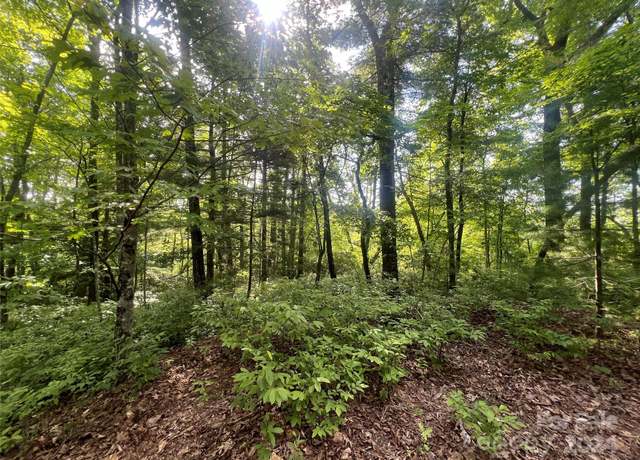 Property at 000 Laurel Thicket Ln, Brevard, NC 28712