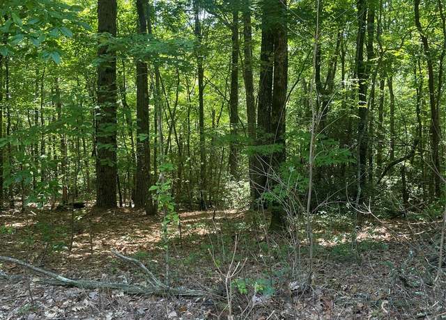 Property at TBD Arrowhead Ridge Rd, Brevard, NC 28712