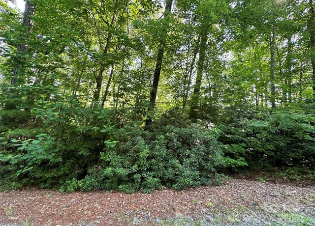 Property at 67 Peppervine Cir, Rosman, NC 28772