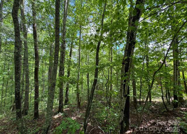 Property at 99999 Morning Star Dr Lot 13, Leicester, NC 28748
