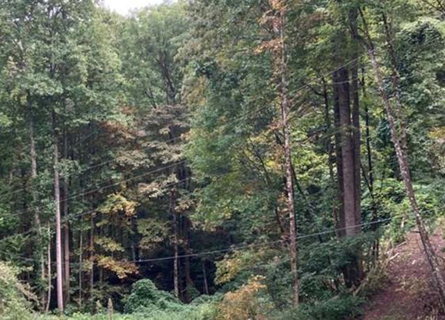 Property at 00 Laurel Dr Lot 12, Whittier, NC 28789