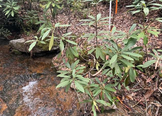 Property at Tract A Cherrywood Ln Unit A, Pisgah Forest, NC 28768