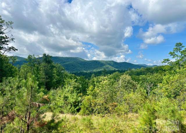 Property at 667 Laurel Thicket Ln, Brevard, NC 28712