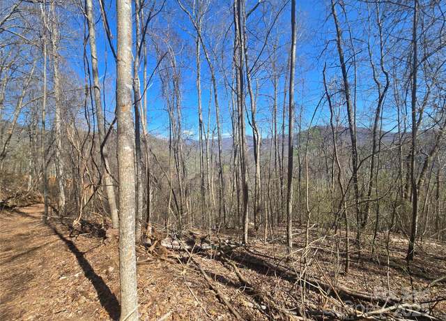 Property at 000 Brasstown Rd, Cullowhee, NC 28723