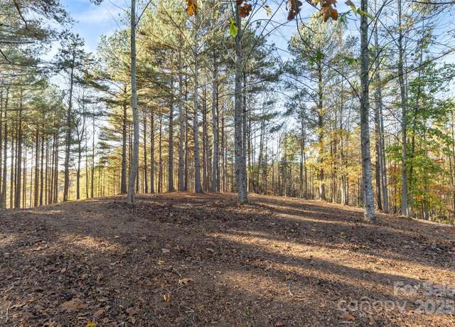 Property at 119 Wood Cove Ln, Stony Point, NC 28678