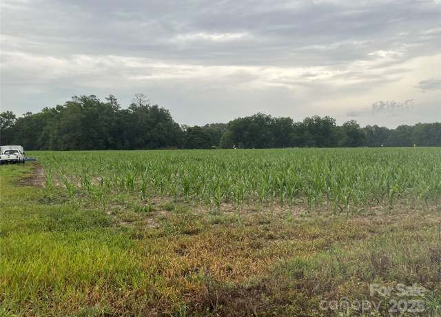 Property at 0 Manville Saint Charles Rd #3, Bishopville, SC 29010