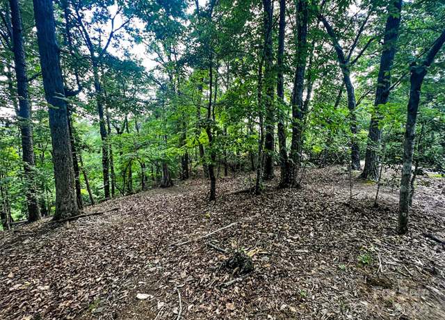 Property at 00 Whitney Blvd Lot 124, Lake Lure, NC 28746