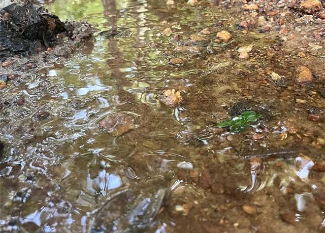 Property at 0 Shady Bark Ln #40, Rutherfordton, NC 28139