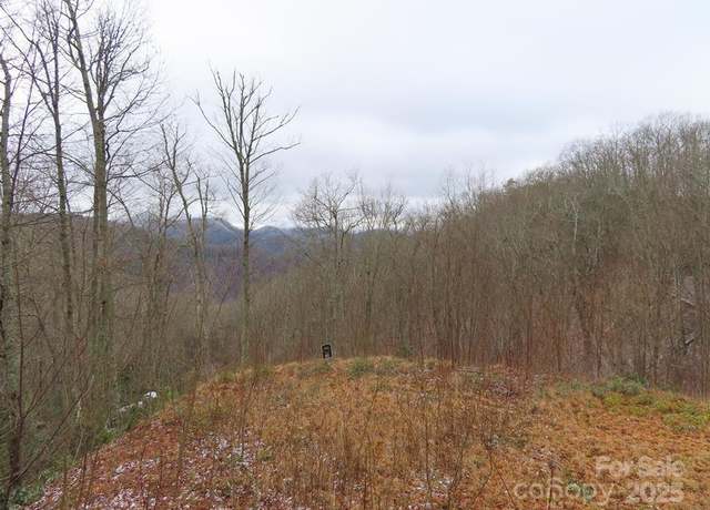Property at 92 Alarka Highlands Rd #92, Bryson City, NC 28713