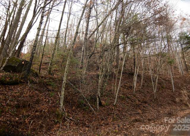 Property at 00 Green Ridge Falls Rd, Barnardsville, NC 28709