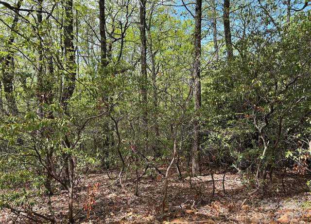 Property at 000 John Delk Rd #3, Hendersonville, NC 28792