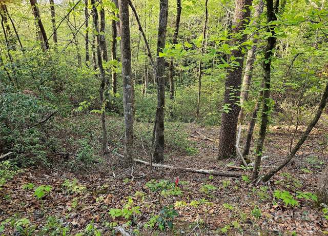 Property at 0 Huntington Rd #54, Lake Lure, NC 28746