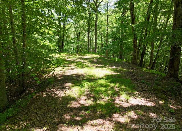 Property at 0 Elkhorn Ridge Dr #46, Franklin, NC 28734