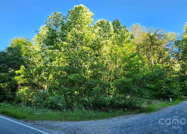 Property at 0 Buffalo Creek Rd #74, Lake Lure, NC 28746