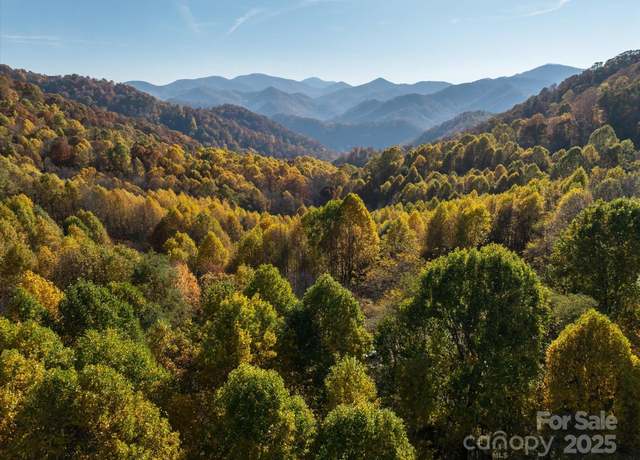 Property at 1397 Bee Branch Rd, Hot Springs, NC 28743