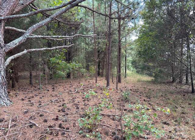 Property at 0 Rock House Rd, Blacksburg, SC 29702
