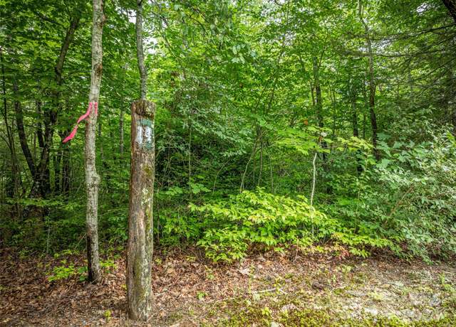 Property at 000 Meadow Ridge Dr Lot 14, Lake Toxaway, NC 28747