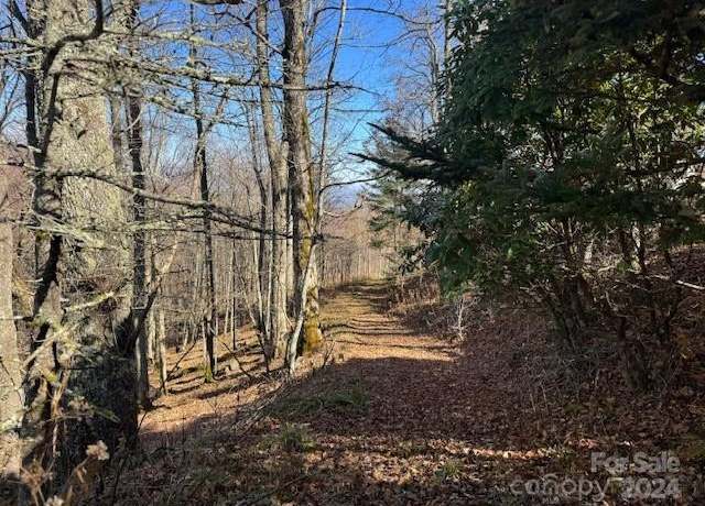 Property at 962 Lookout Dr, Mars Hill, NC 28754