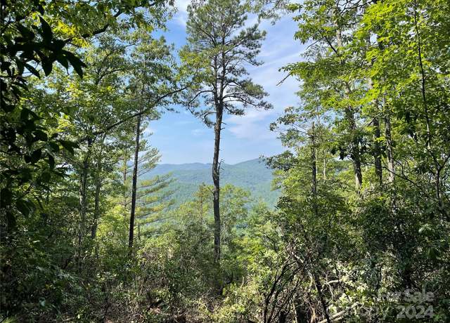 Property at TBD Morgan Dr Unit Tract II, Penrose, NC 28766