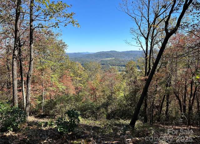 Property at TBD Alpen Rose Way, Mills River, NC 28759