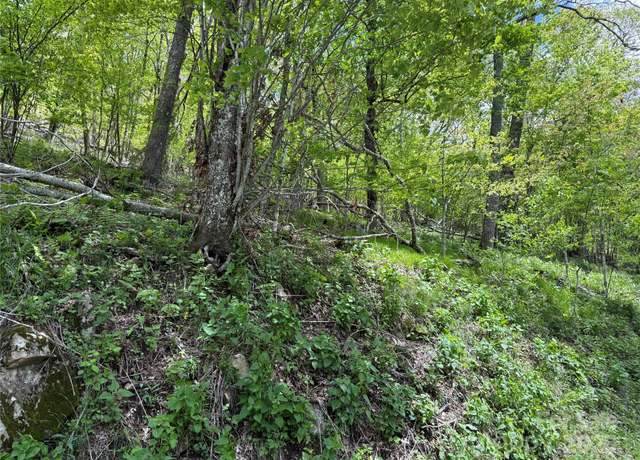 Property at 44 Fox Paw Ln, Banner Elk, NC 28604