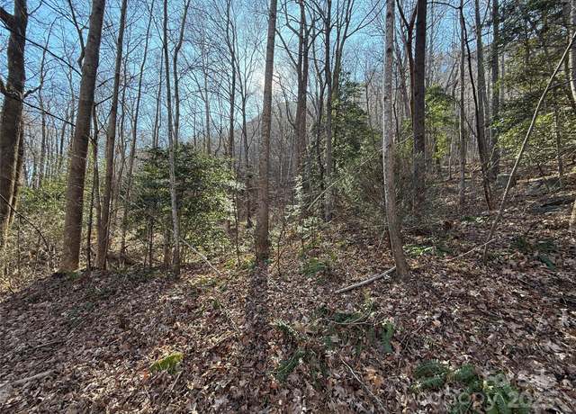 Property at Lot 343 Bolt Rd, Lake Lure, NC 28746