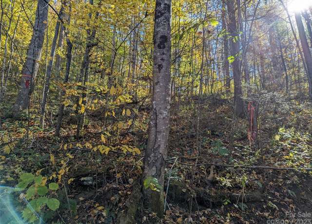 Property at 00TB White Oak Rd, Waynesville, NC 28785