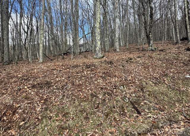 Property at 344 Tearshirt Ln, Mars Hill, NC 28754