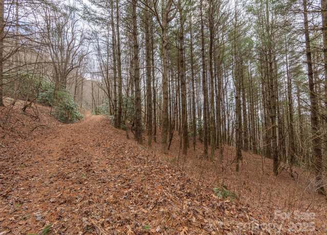 Property at 00 Bald Creek Rd, Clyde, NC 28721