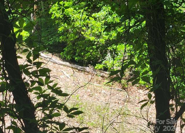 Property at 00 Hickory Nut Ln #390, Lake Lure, NC 28746