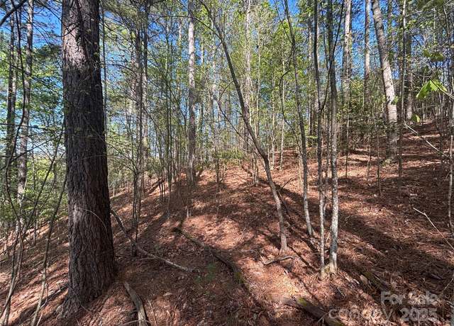 Property at 1105 Cleopatra Ln, Connelly Springs, NC 28612
