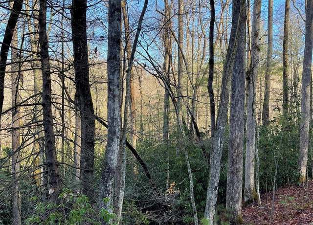 Property at 000 Old Ccc Rd, Hendersonville, NC 28739