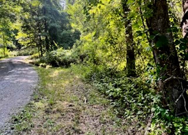 Property at 999999 Indian Camp Creek Rd, Madison, NC 28743