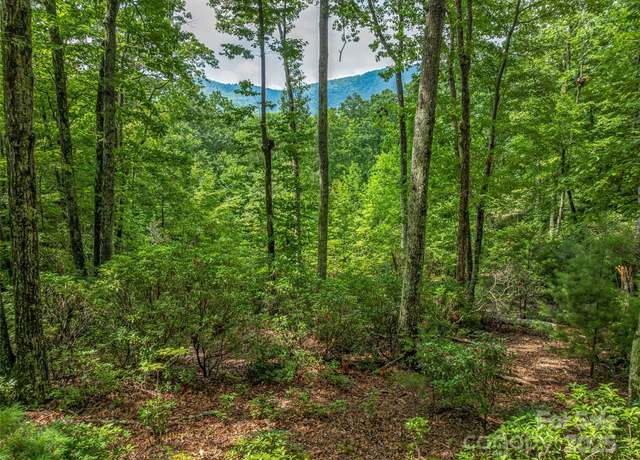 Property at 72 Smokey Ridge Trl #196, Arden, NC 28704