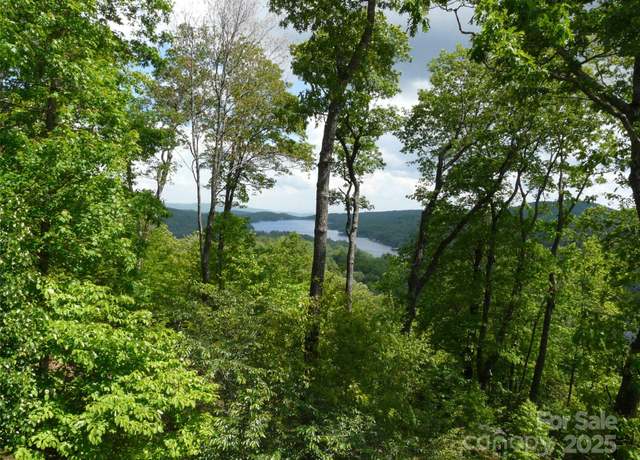 Property at PR 22R Panther Ridge Rd, Lake Toxaway, NC 28747