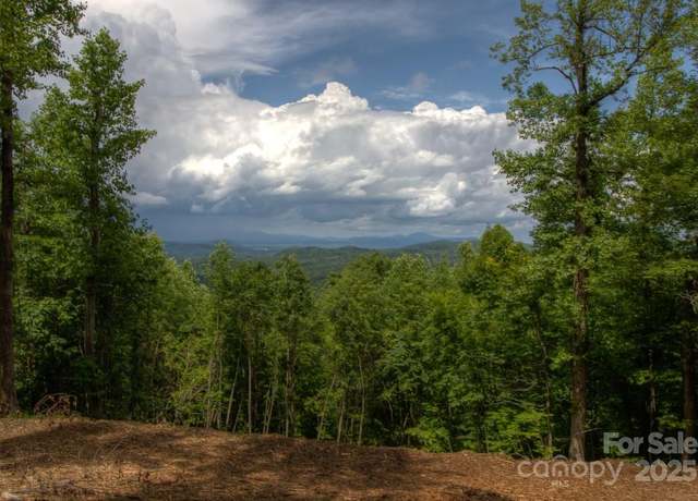Property at 436 Bella Vista Ct, Zirconia, NC 28790