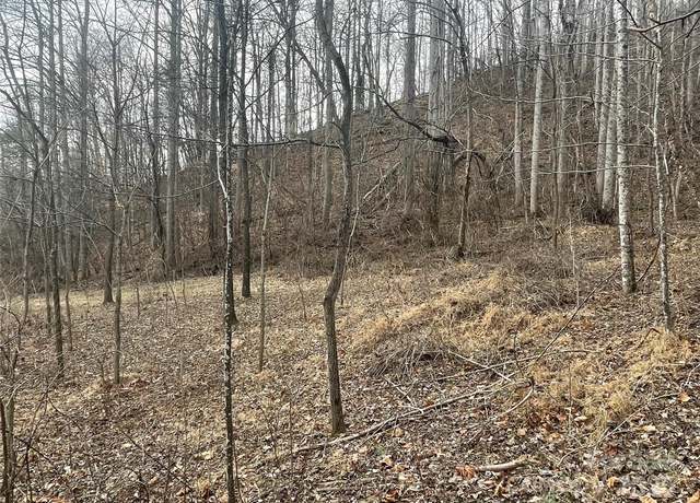 Property at 000 Martins Creek Rd, Barnardsville, NC 28709