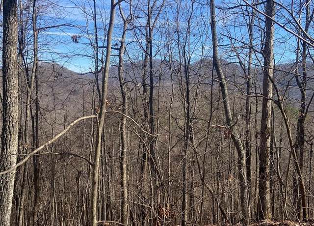 Property at TBD Ashe Branch Vw Unit 66J, Hayesville, NC 28904
