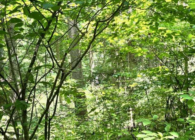 Property at 287 Indian Camp Creek Rd, Hot Springs, NC 28743