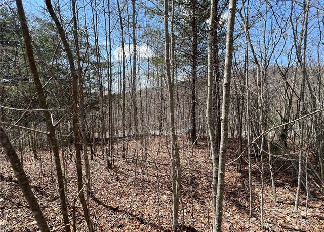 Property at 192 Pine Cone Trl #21, Marshall, NC 28753