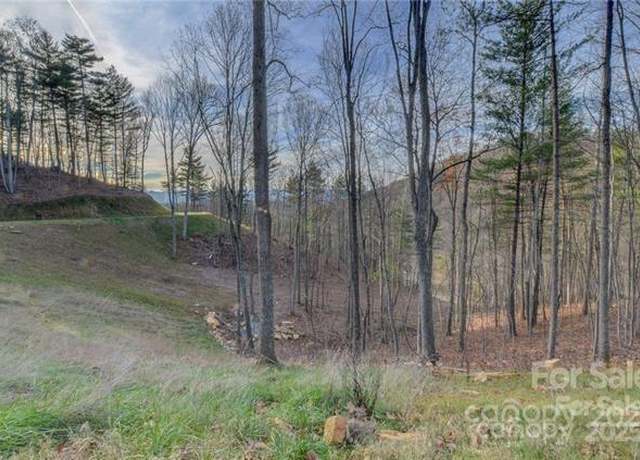 Property at 33 Bent Branch Ln, Asheville, NC 28804